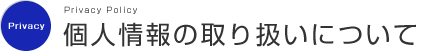 l̎舵ɂ